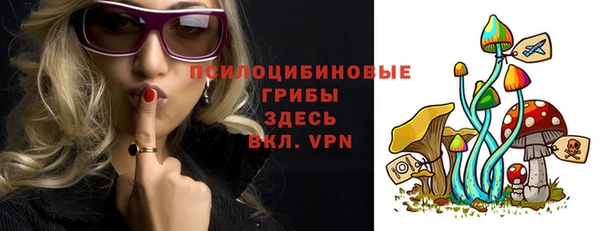 сатива Гусь-Хрустальный