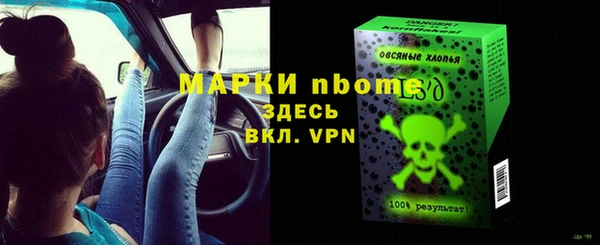сатива Гусь-Хрустальный