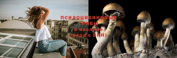 ГАЛЛЮЦИНОГЕННЫЕ ГРИБЫ Дмитров