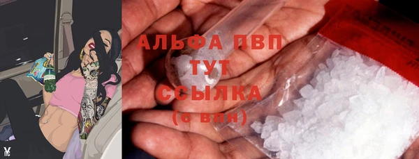 сатива Гусь-Хрустальный