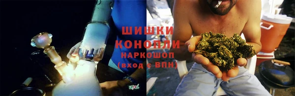сатива Гусь-Хрустальный