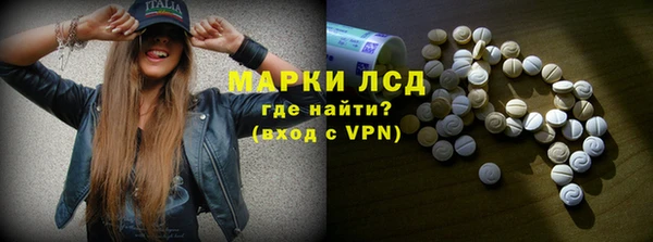 сатива Гусь-Хрустальный